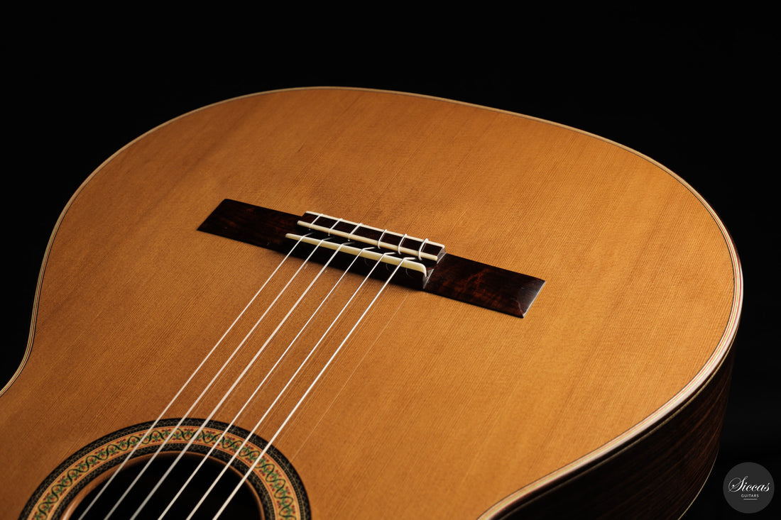 Siccas Luthiers - Continuum Lattice Cedar