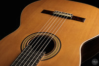 Siccas Luthiers - Continuum Lattice Cedar 64 cm