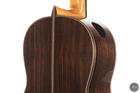 Siccas Luthiers - Continuum Lattice Cedar 64 cm