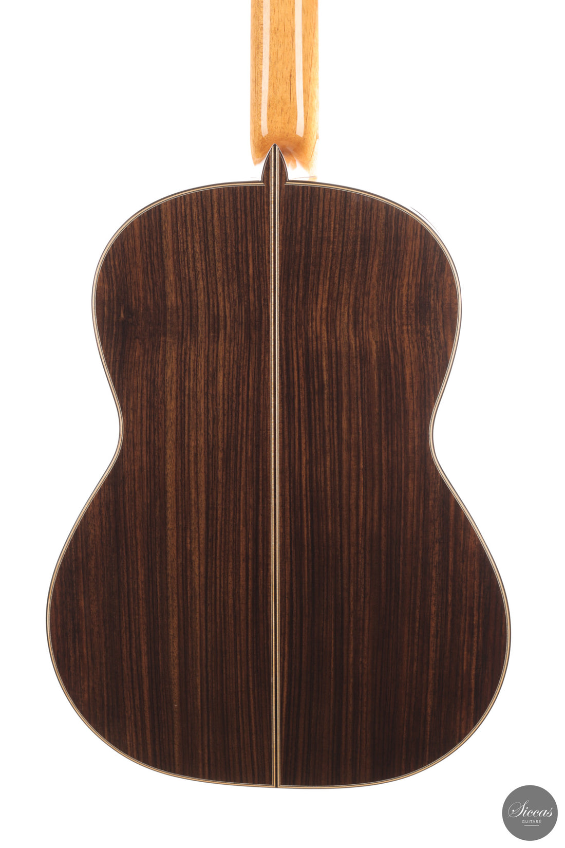 Siccas Luthiers - Continuum Lattice Cedar 64 cm