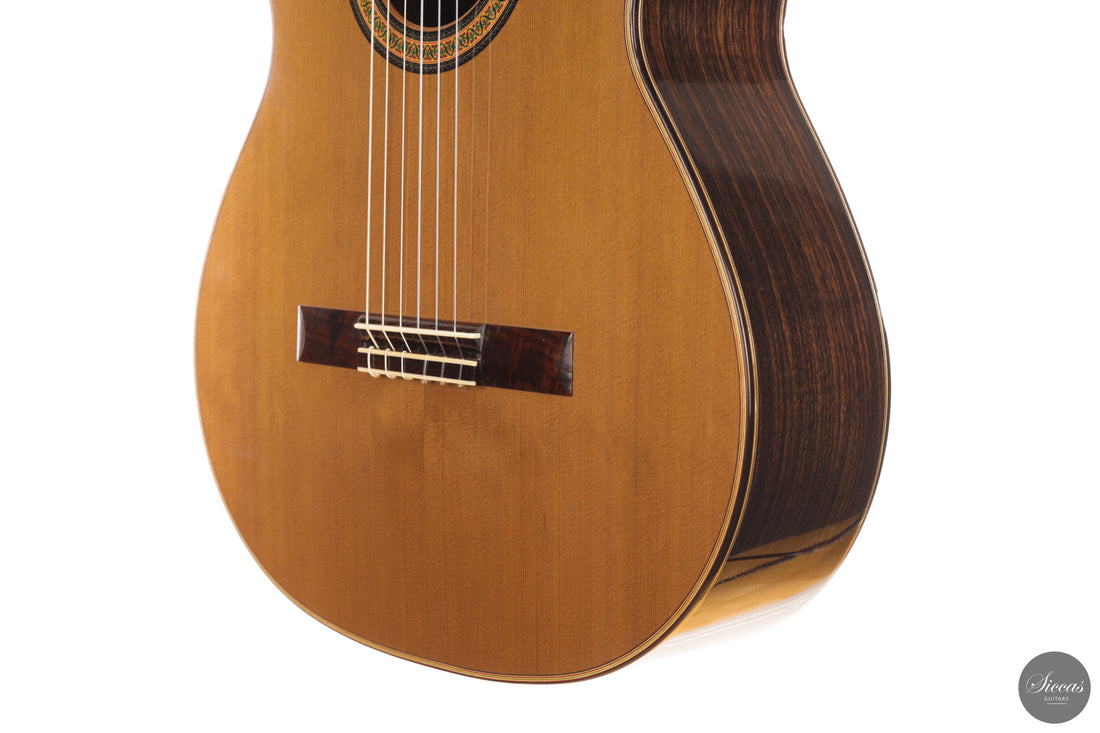 Siccas Luthiers - Continuum Lattice Cedar 64 cm