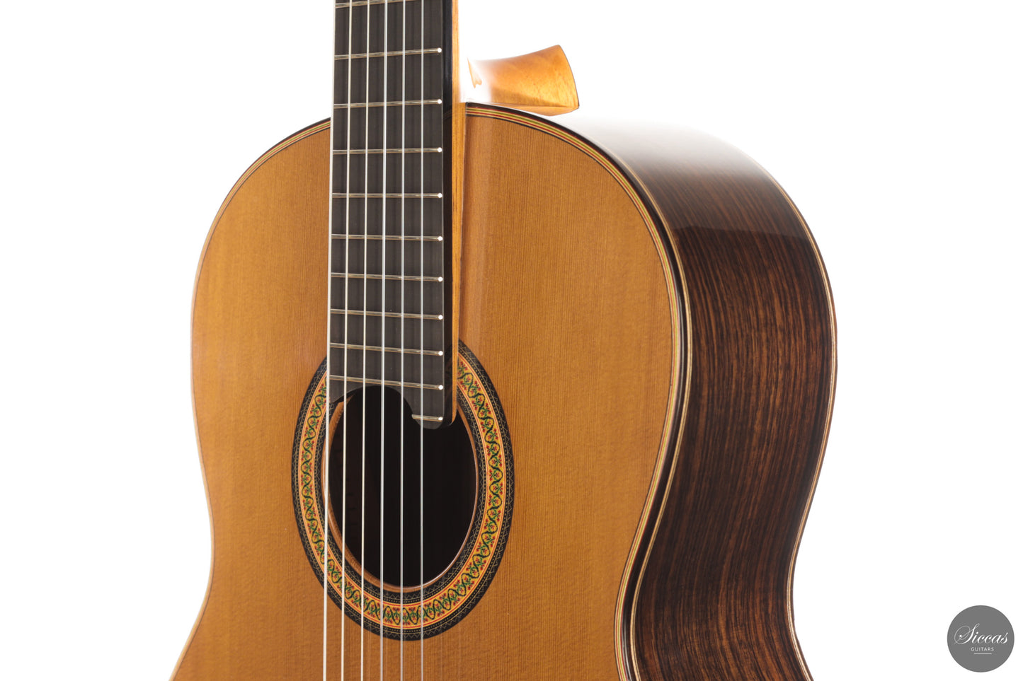 Siccas Luthiers - Continuum Lattice Cedar