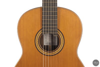 Siccas Luthiers - Continuum Lattice Cedar 64 cm