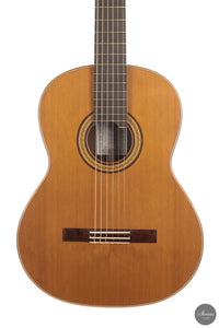 Siccas Luthiers - Continuum Lattice Cedar 64 cm