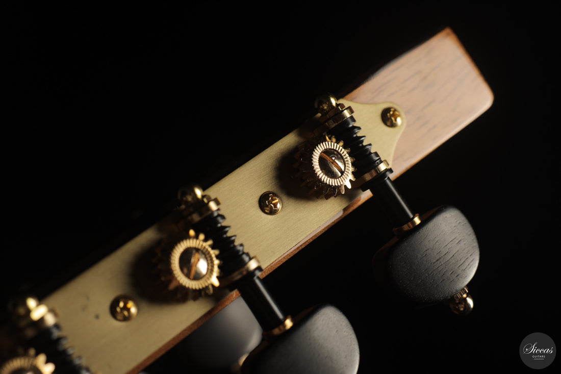 Siccas Luthiers - Continuum Lattice Spruce