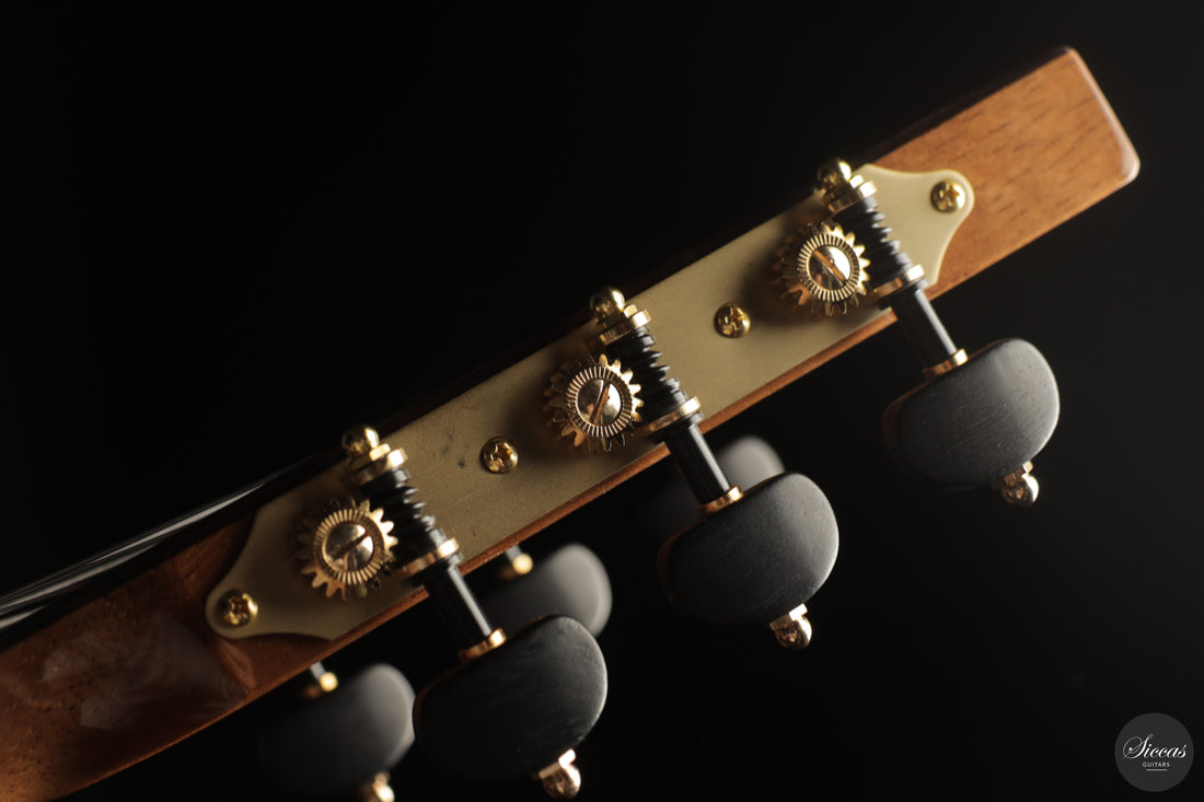 Siccas Luthiers - Continuum Lattice Spruce