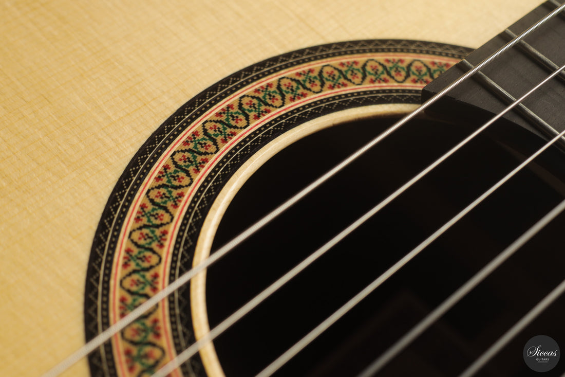 Siccas Luthiers - Continuum Lattice Spruce 64 cm