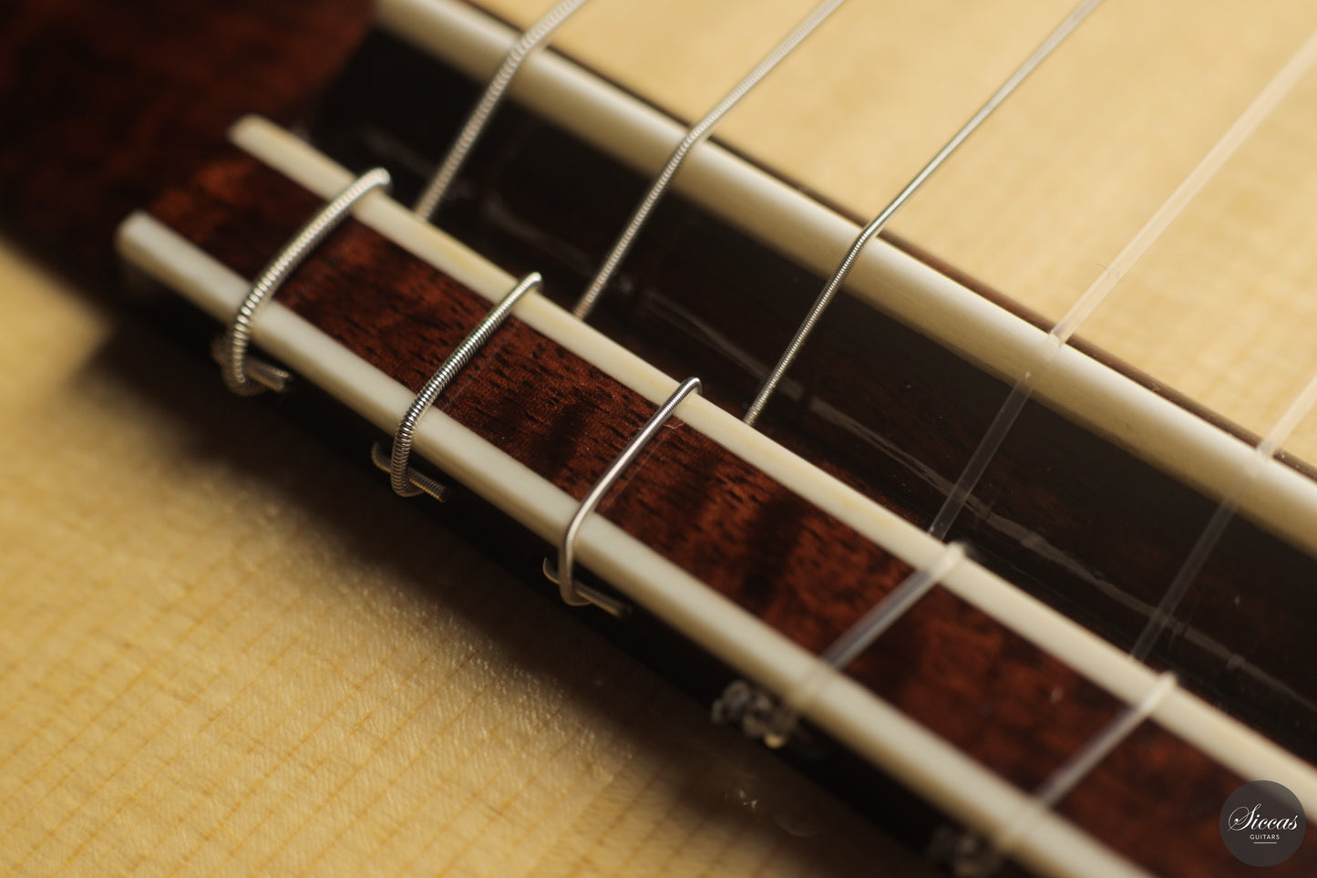 Siccas Luthiers - Continuum Lattice Spruce
