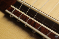 Siccas Luthiers - Continuum Lattice Spruce