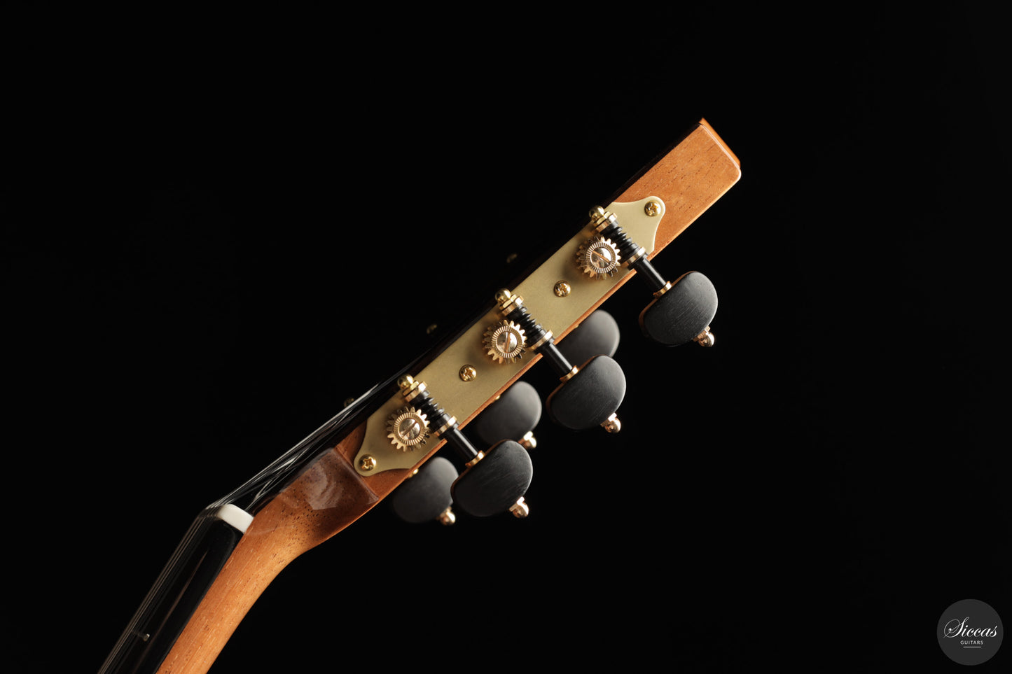 Siccas Luthiers - Continuum Lattice Spruce