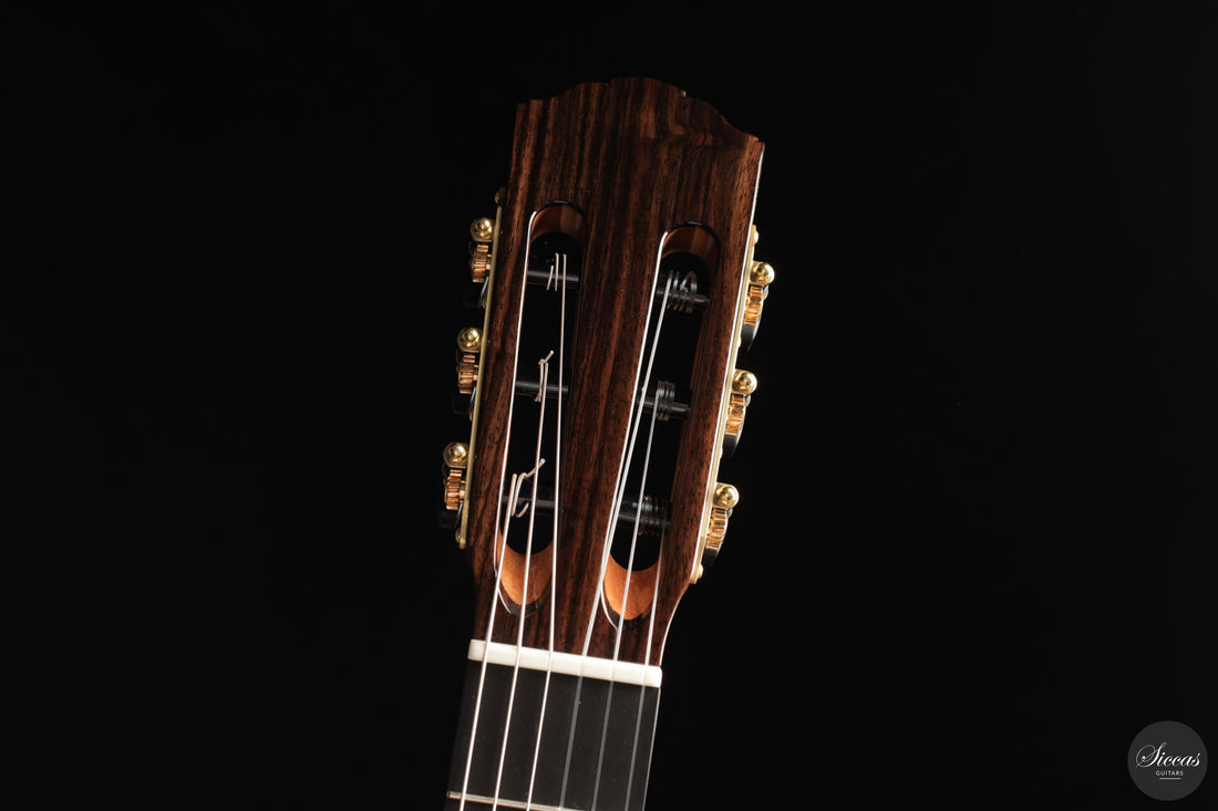 Siccas Luthiers - Continuum Lattice Spruce