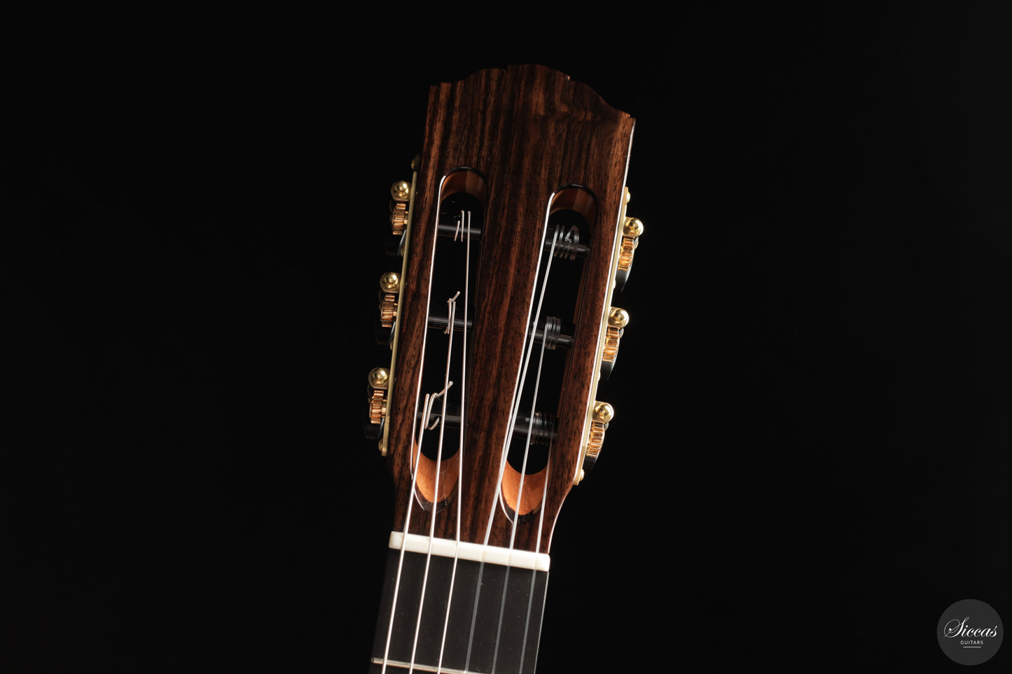Siccas Luthiers - Continuum Lattice Spruce