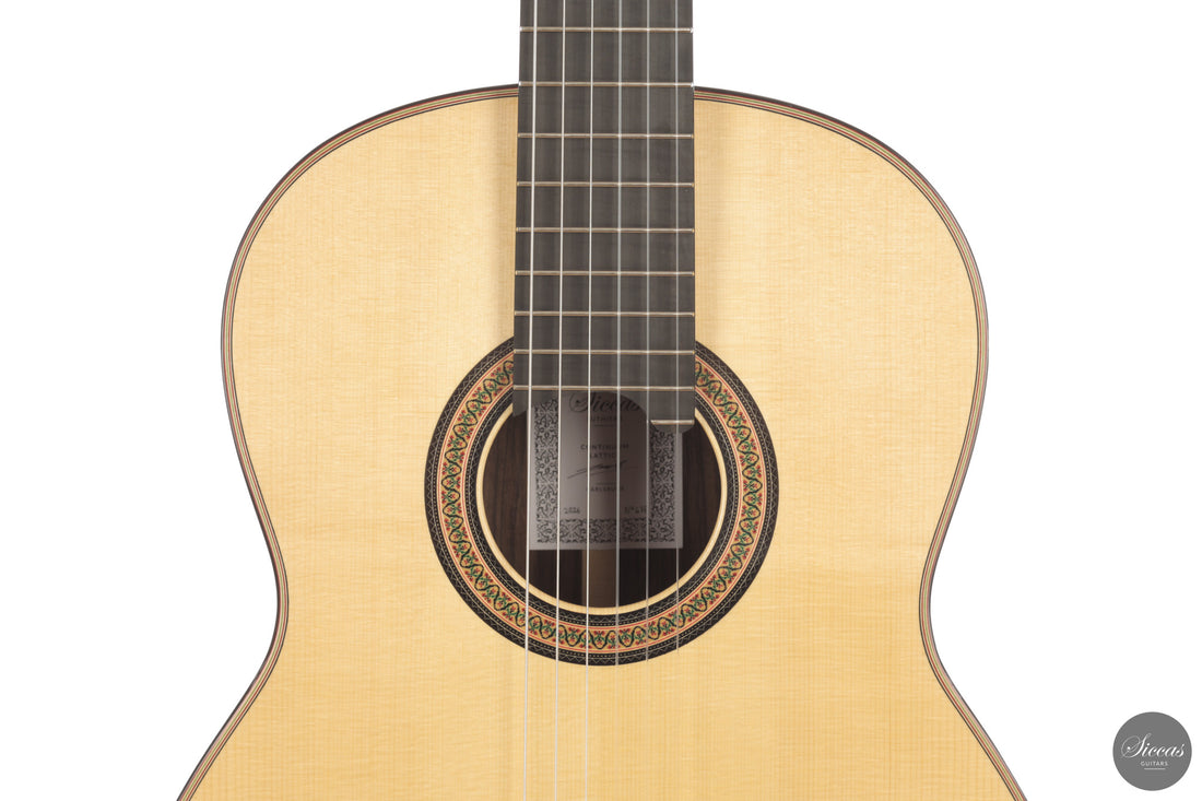 Siccas Luthiers - Continuum Lattice Spruce 64 cm