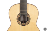 Siccas Luthiers - Continuum Lattice Spruce 64 cm
