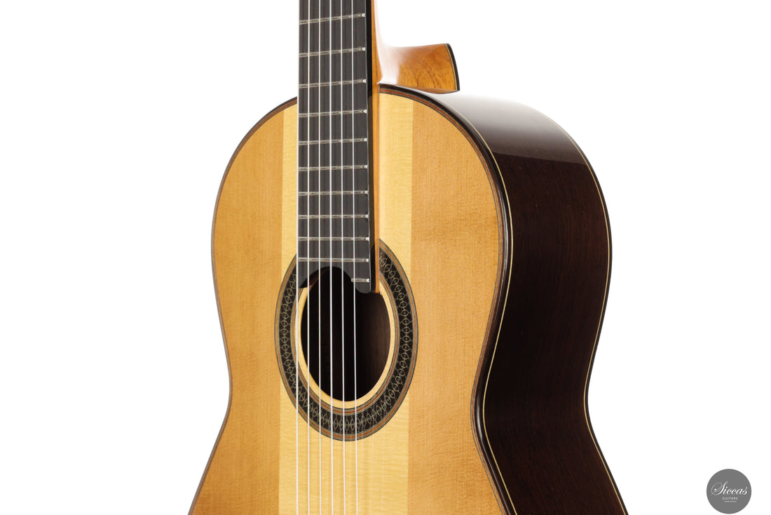 Siccas Luthiers - Creation Doubletop Triptych - Front view