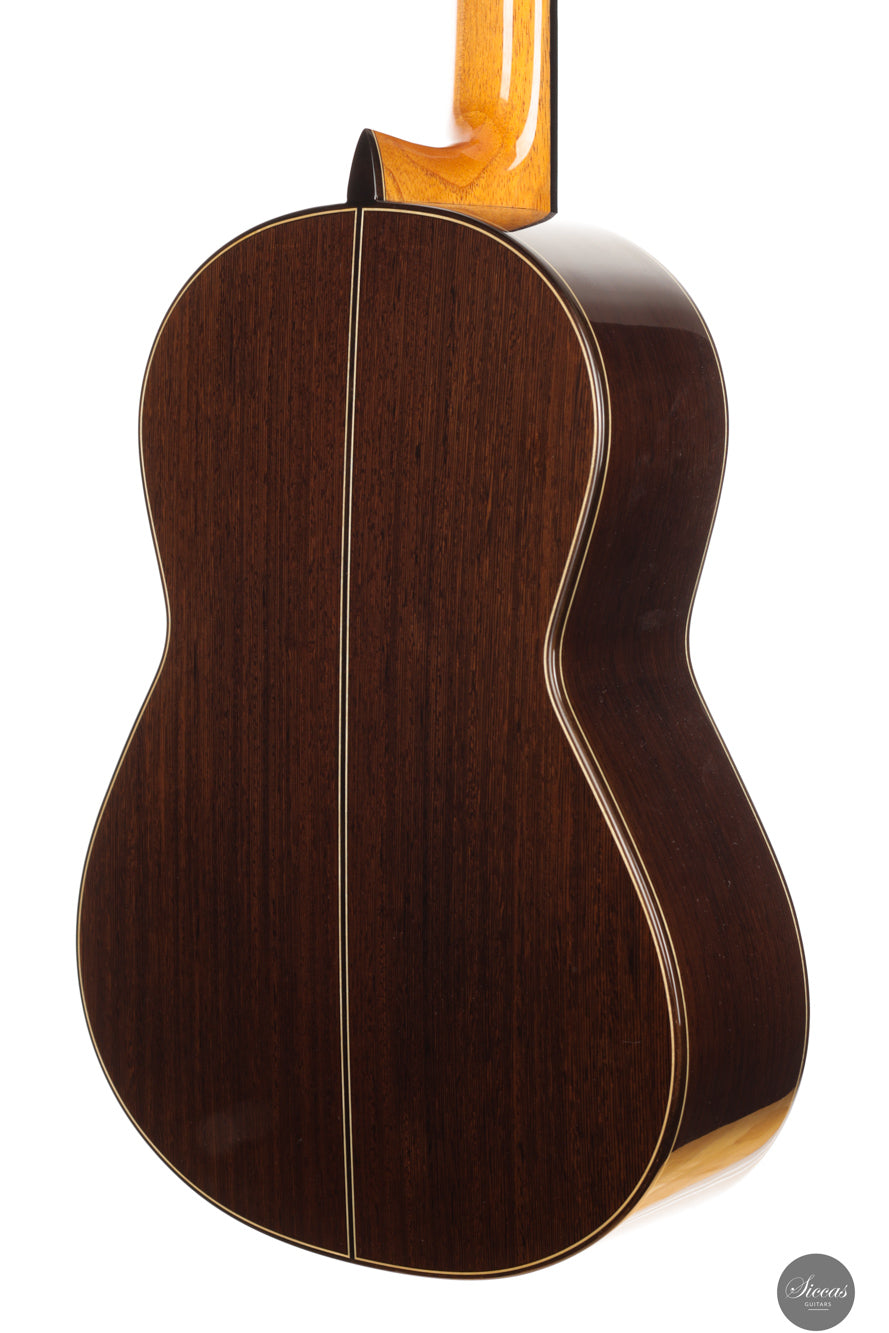 Siccas Luthiers - Creation Doubletop Triptych - Back and sides