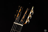 Siccas Luthiers - Creation Doubletop Triptych