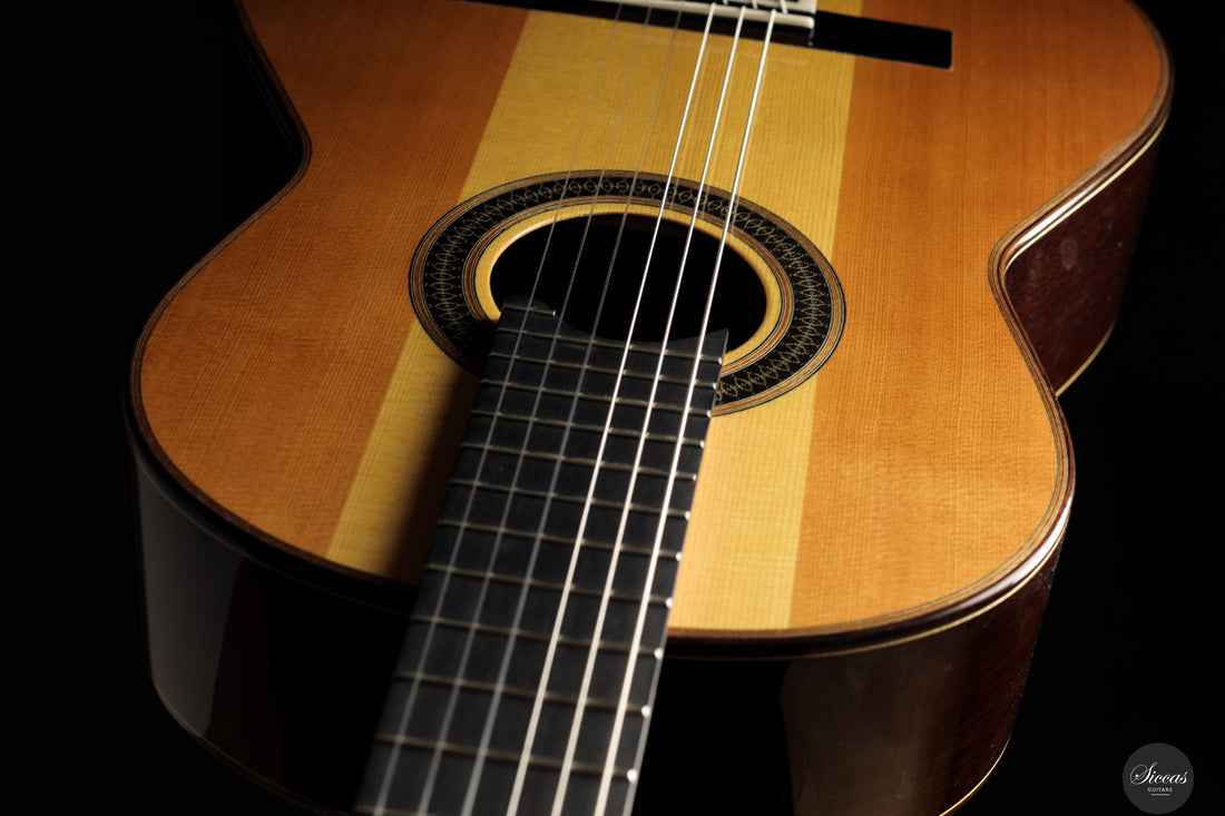 Siccas Luthiers - Creation Doubletop Triptych - Front view