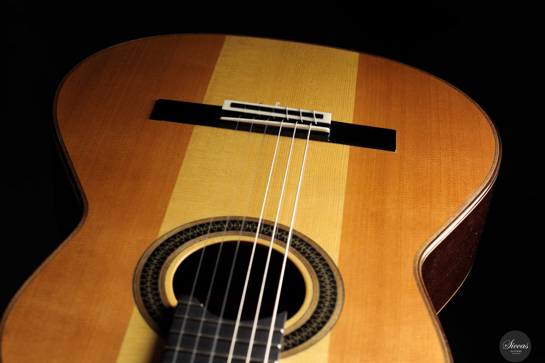 Siccas Luthiers - Creation Doubletop Triptych - Front view