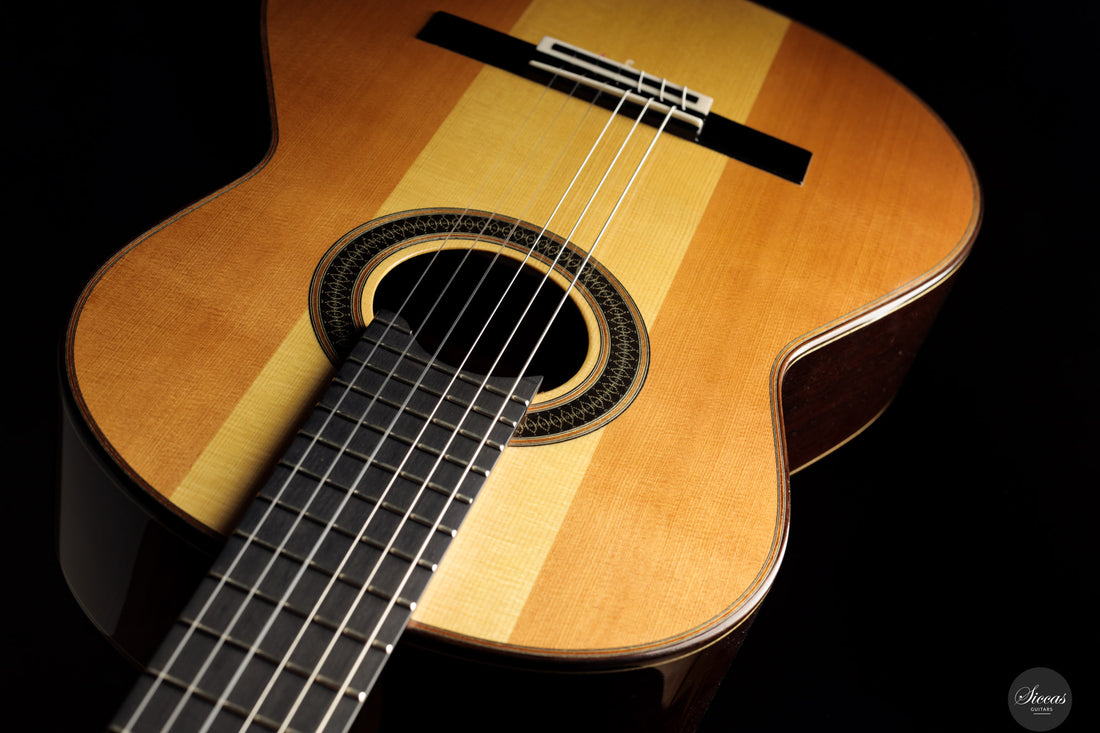 Siccas Luthiers - Creation Doubletop Triptych - Front view