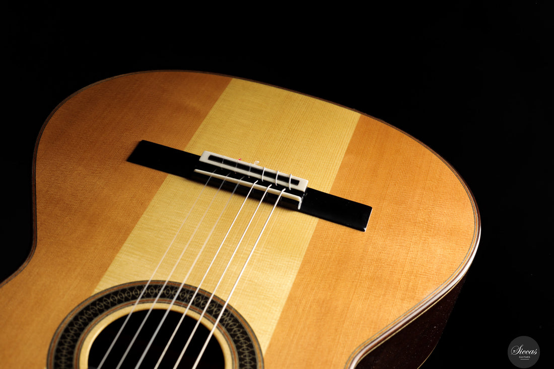 Siccas Luthiers - Creation Doubletop Triptych 64 cm - Front view