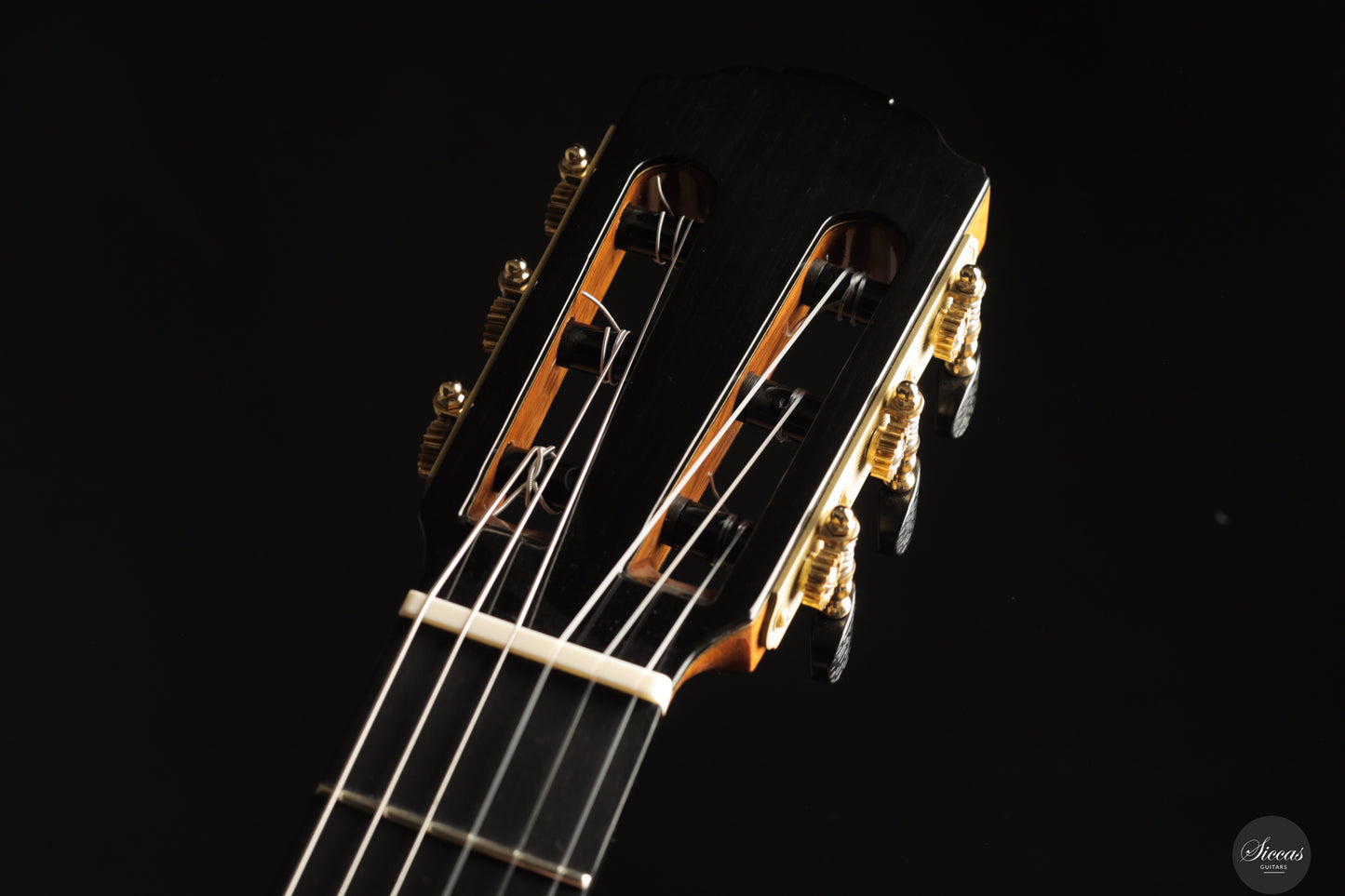 Siccas Luthiers - Creation Doubletop Spruce 64 cm