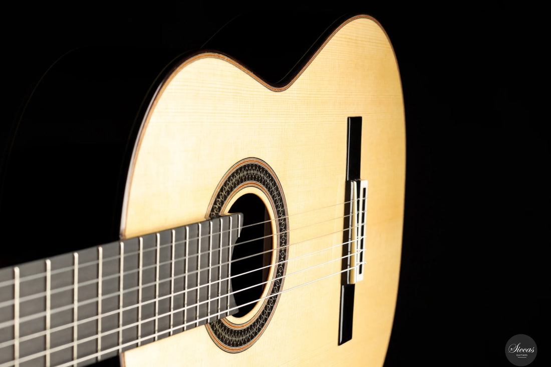 Siccas Luthiers - Creation Doubletop Spruce 64 cm