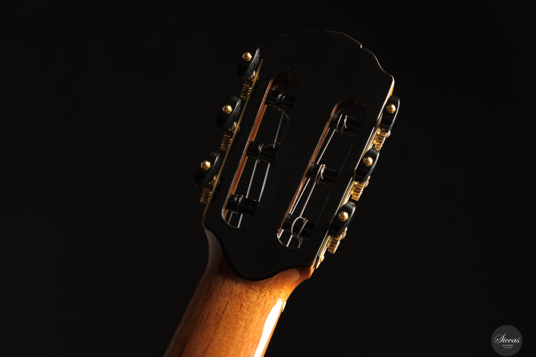 Siccas Luthiers - Creation Doubletop Spruce 63 cm - Neck and tuner