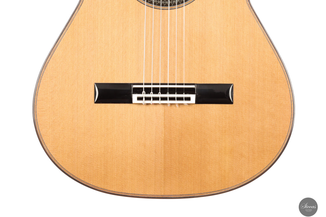 Siccas Luthiers - Creation Doubletop Cedar - Front view
