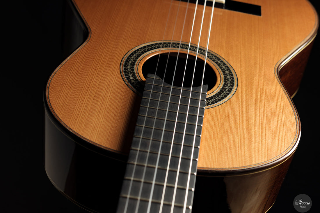 Siccas Luthiers - Creation Doubletop Cedar 63 cm - Front view