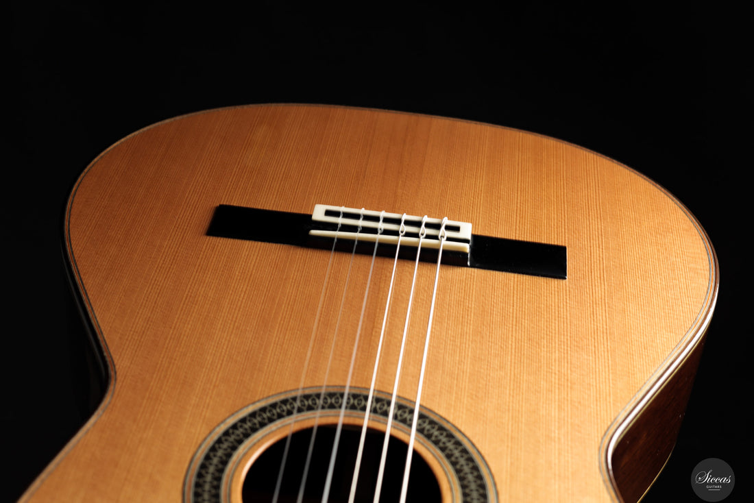 Siccas Luthiers - Creation Doubletop Cedar 63 cm - Front view