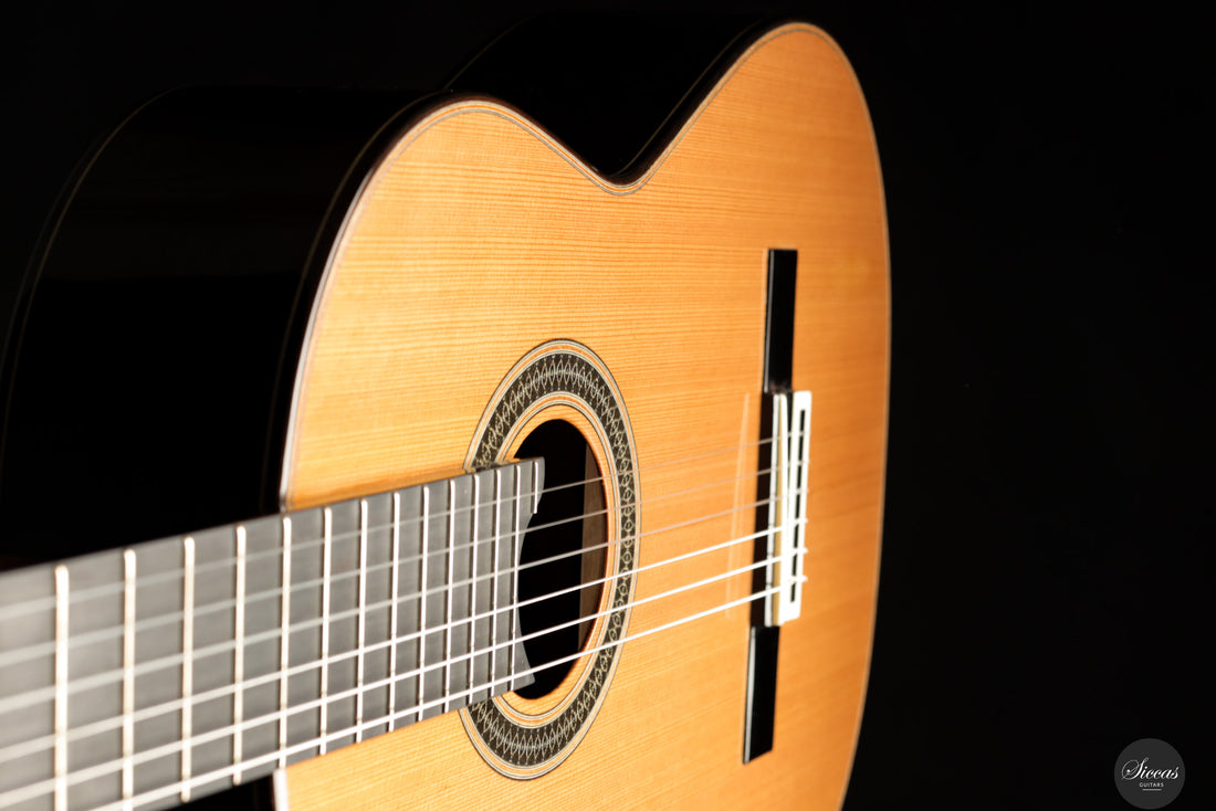 Siccas Luthiers - Creation Doubletop Cedar 64 cm - Front view