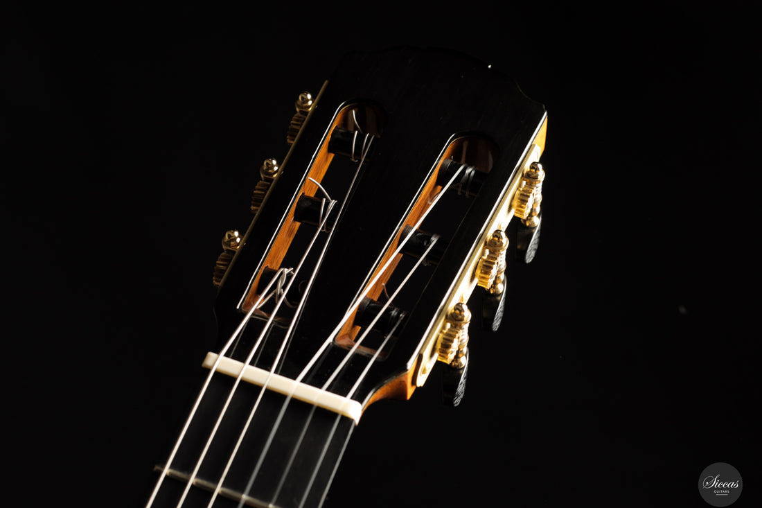 Siccas Luthiers - Creation Doubletop Spruce 63 cm