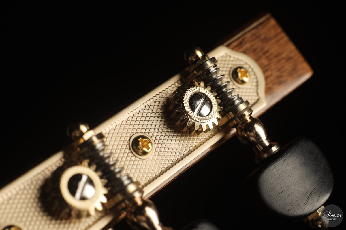 Siccas Luthiers - Halo Traditional Spruce