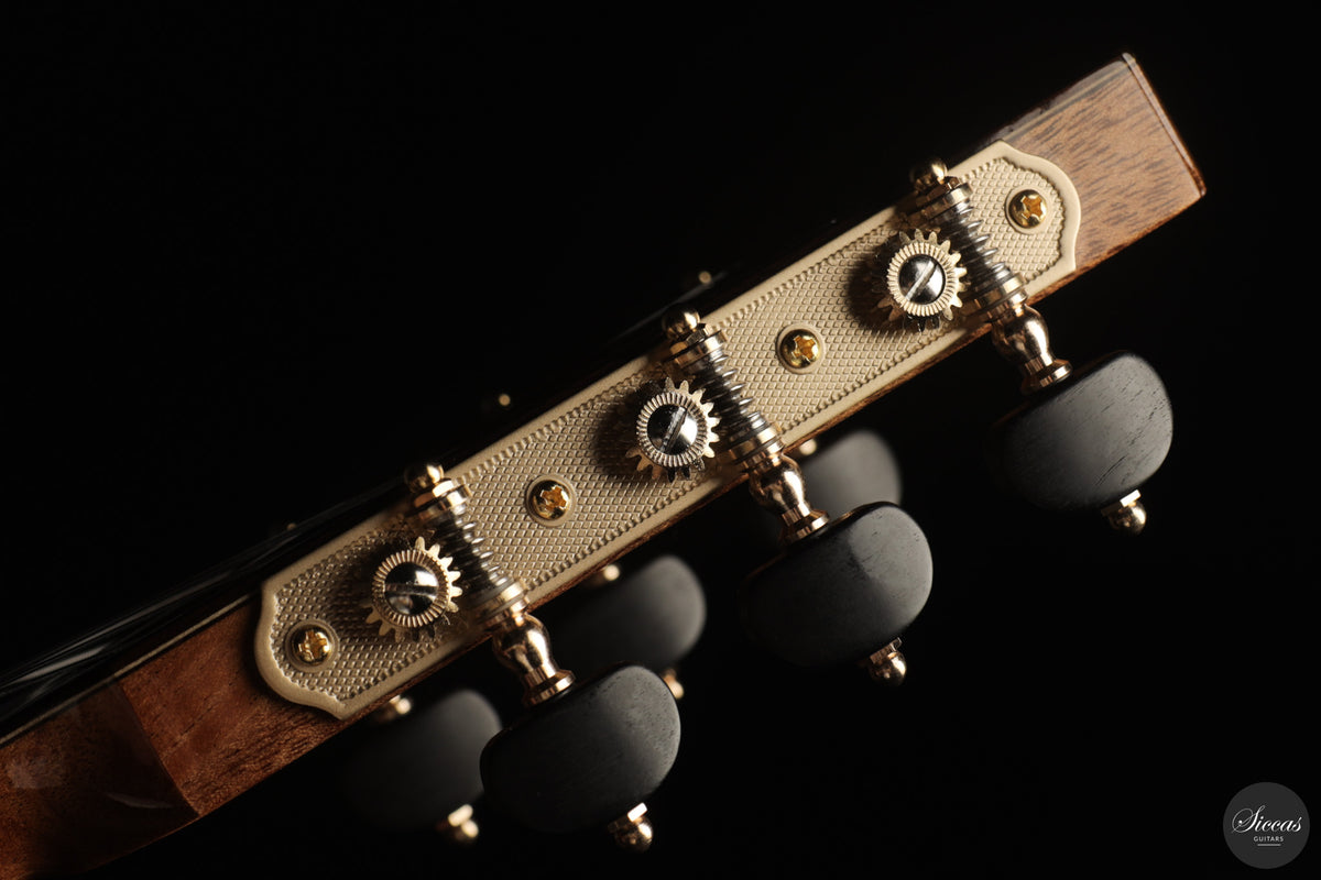 Siccas Luthiers - Halo Traditional Spruce
