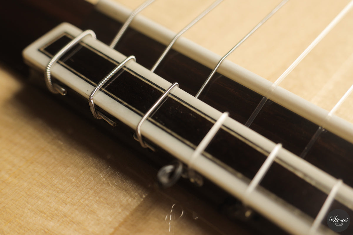 Siccas Luthiers - Halo Traditional Spruce 63 cm