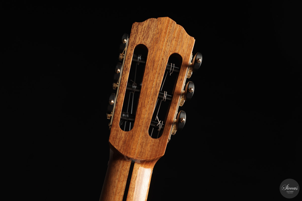 Siccas Luthiers - Halo Traditional Spruce