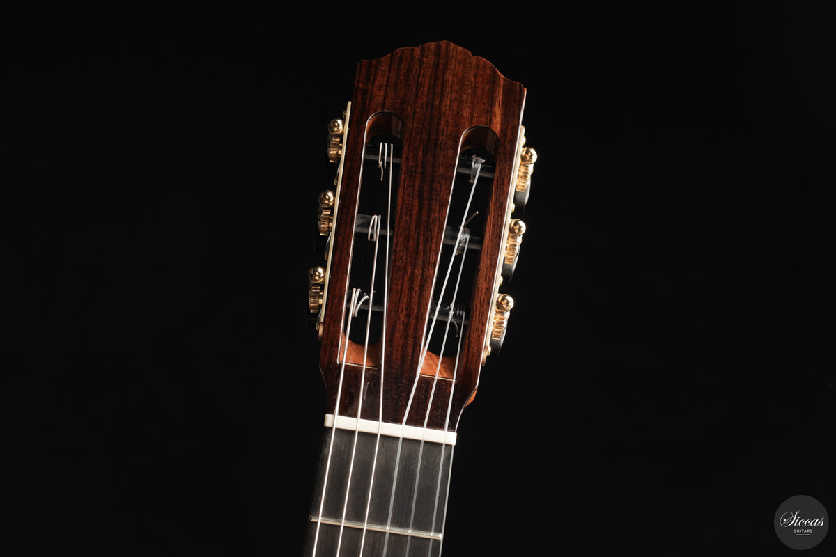 Siccas Luthiers - Halo Traditional Spruce