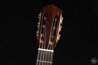 Siccas Luthiers - Halo Traditional Spruce