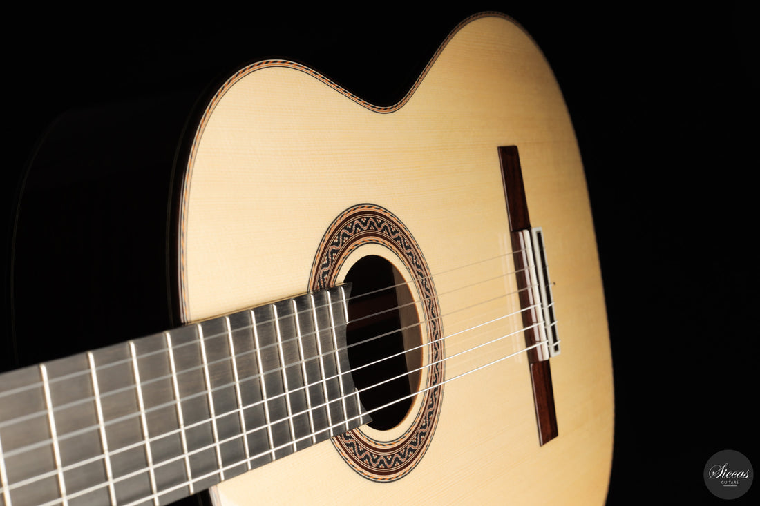 Siccas Luthiers - Halo Traditional Spruce 63 cm