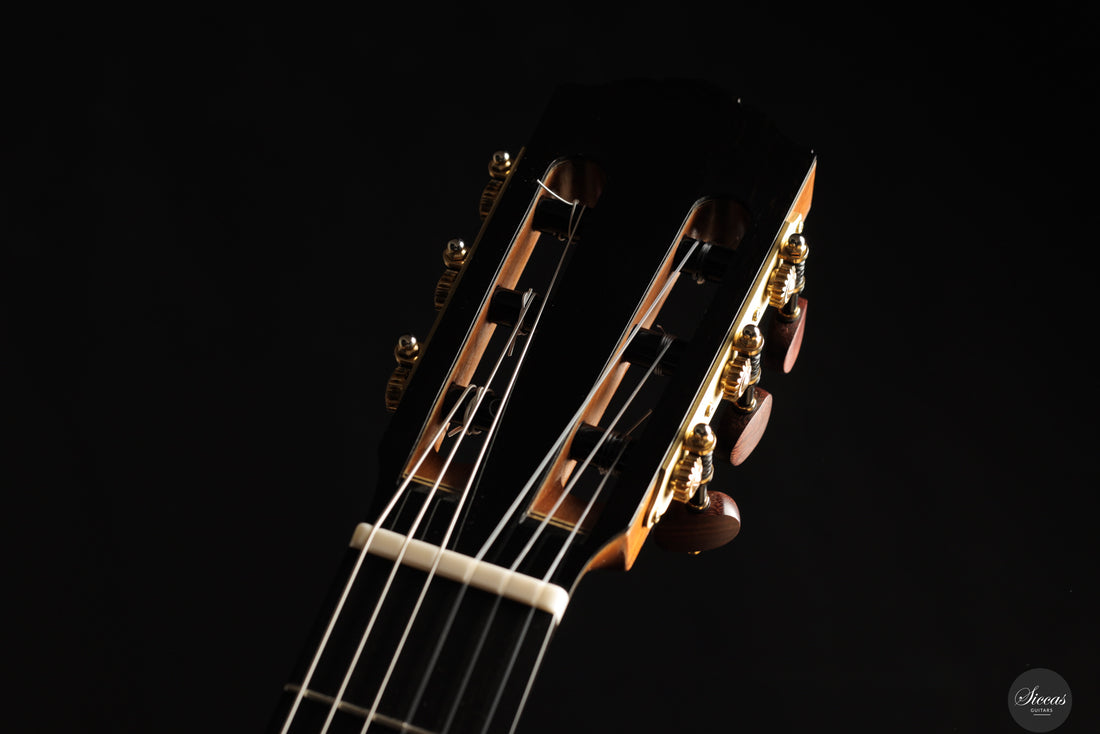 Siccas Luthiers - Legacy Doubletop Cedar