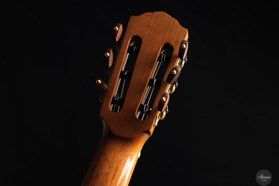 Siccas Luthiers - Legacy Doubletop Cedar 64 cm