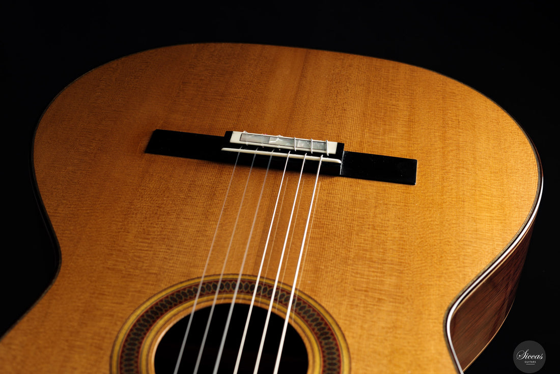 Siccas Luthiers - Legacy Doubletop Cedar 64 cm - Front view