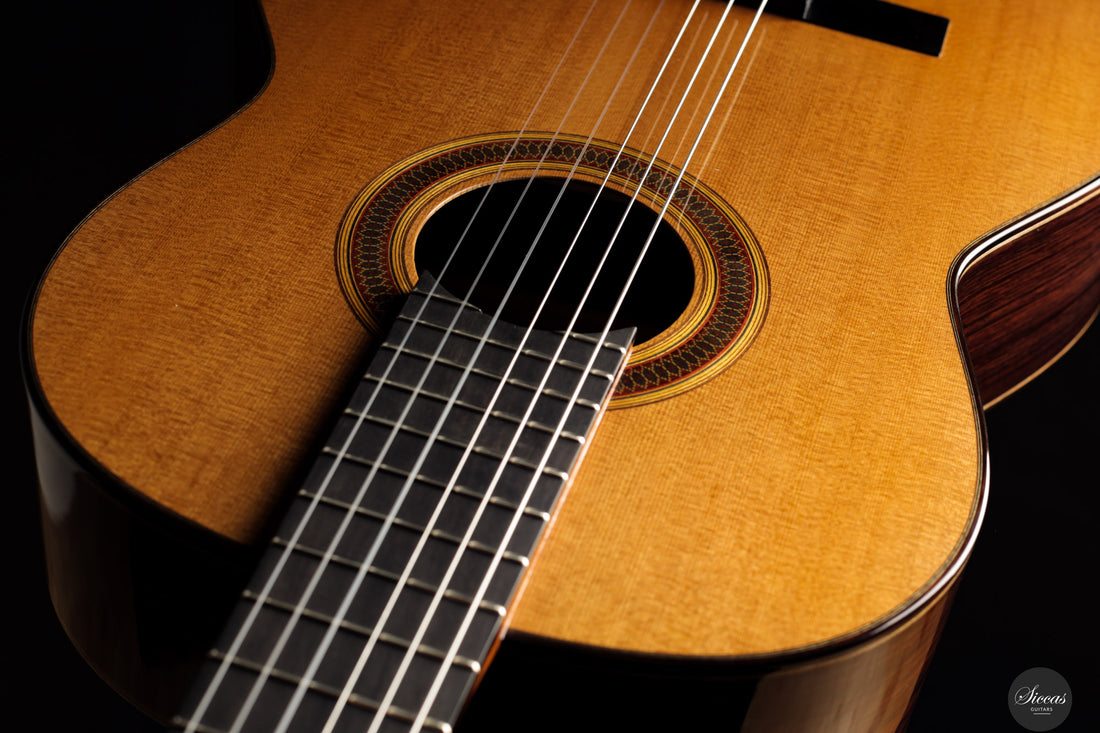 Siccas Luthiers - Legacy Doubletop Cedar 64 cm - Front view