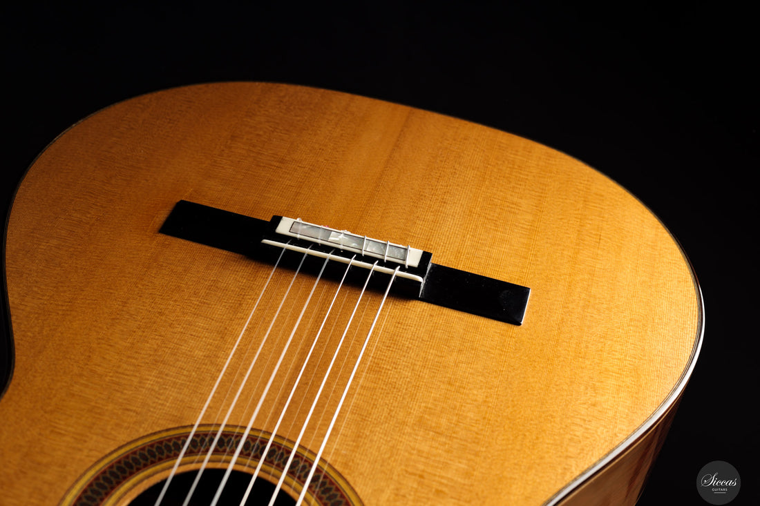 Siccas Luthiers - Legacy Doubletop Cedar