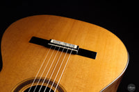 Siccas Luthiers - Legacy Doubletop Cedar
