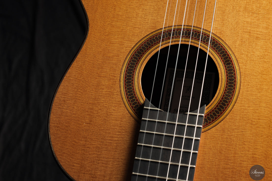 Siccas Luthiers - Legacy Doubletop Cedar 64 cm - Front view