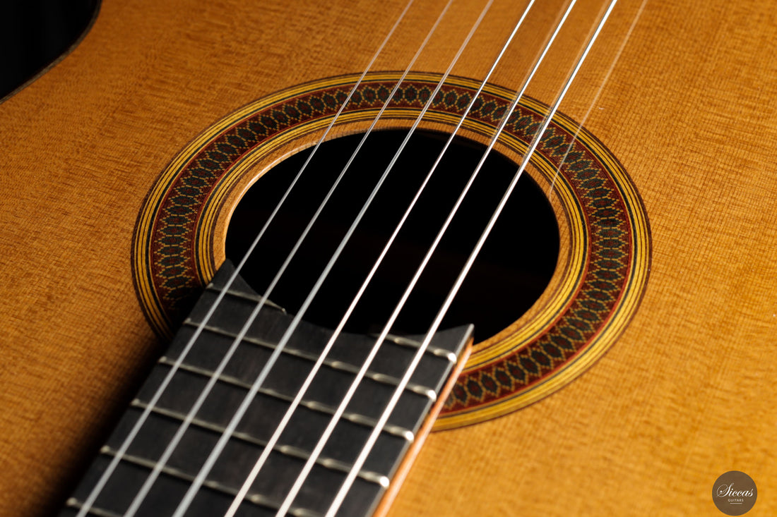 Siccas Luthiers - Legacy Doubletop Cedar 64 cm - Front view