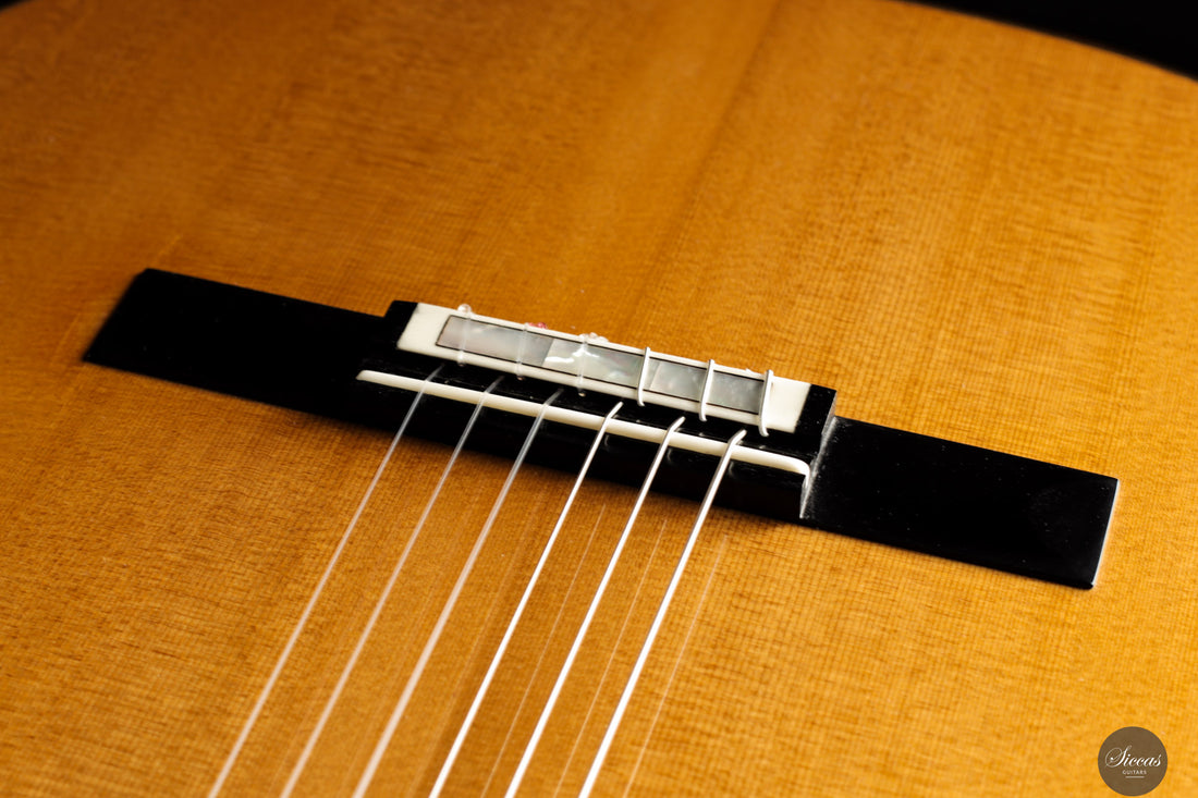 Siccas Luthiers - Legacy Doubletop Cedar 64 cm - Front view