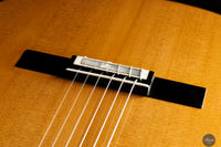 Siccas Luthiers - Legacy Doubletop Cedar 64 cm